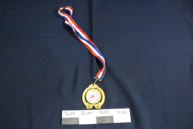 Medali Persatuan Olahraga Master Malaysia 2016