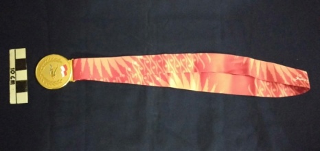 Medali Sea Games Indonesia 2011