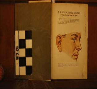 Buku The Special Organs