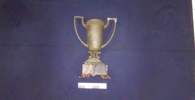 Piala Hamengkubuwono