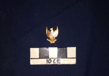 Pin Garuda