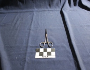 Artery Forceps (Gunting)