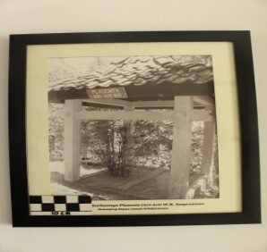 Foto Plasenta WR. Supratman