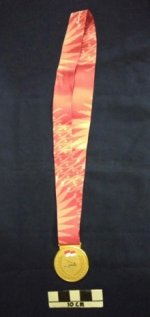 Medali Emas SEA Games 2011 Jakarta-Palembang cabor Voli Pantai